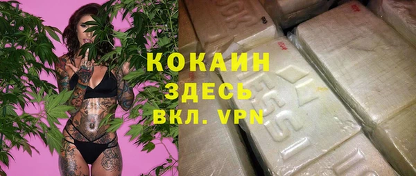 соль ск Абаза
