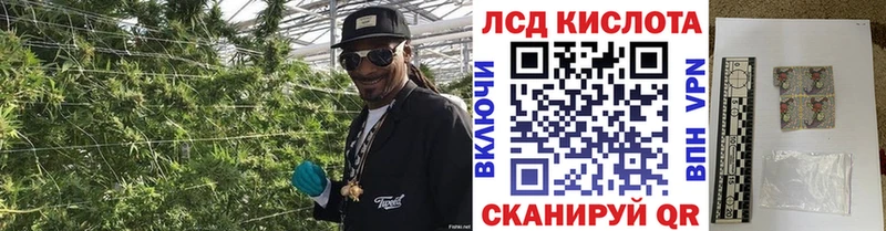 Наркотические марки 1,8мг  наркошоп  Шебекино 