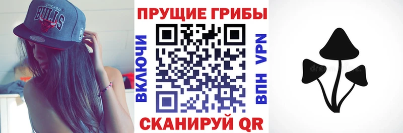 сколько стоит Шебекино Псилоцибиновые грибы GOLDEN TEACHER